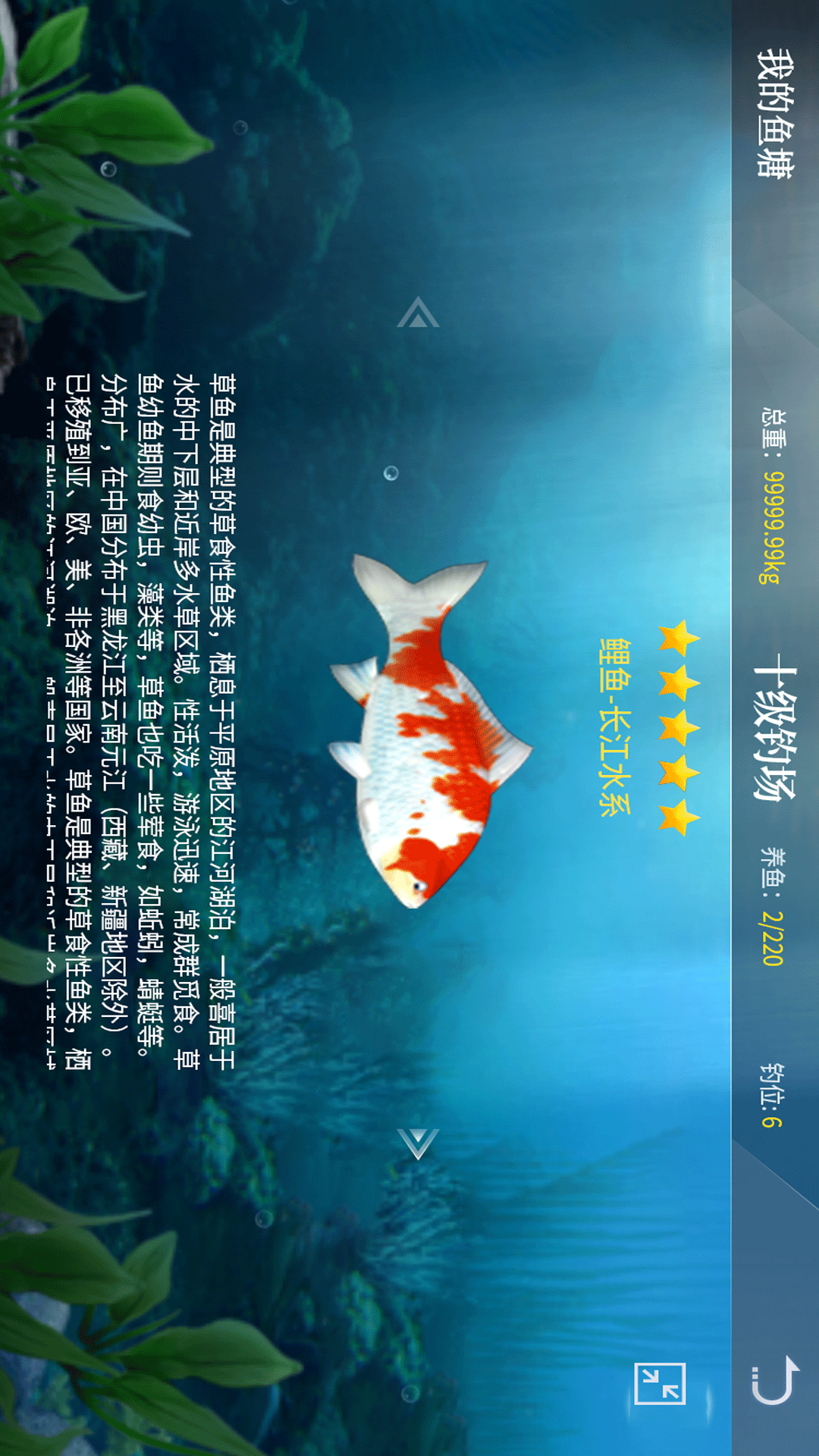 垂钓宗师截图2