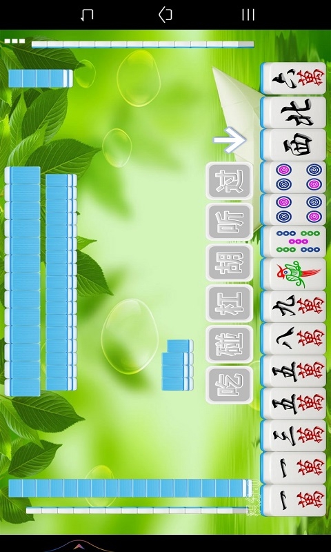 全番单机麻将截图2
