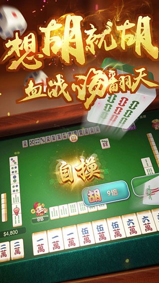 牌里血流麻将截图2