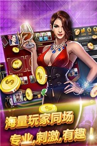 辰龙棋牌游戏截图1