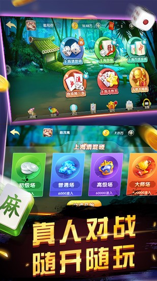申城麻将截图1