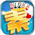 大秦棋牌安卓版