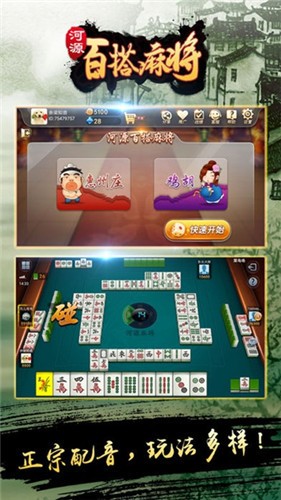 河源麻将最新版截图1