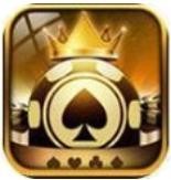 新星棋牌正版图标