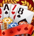 领域棋牌唯一官方网址