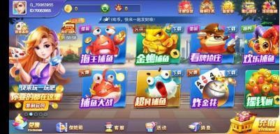 开心棋牌kx518官方版截图1