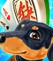 哈狗棋牌安卓免费版
