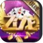 飞龙棋牌