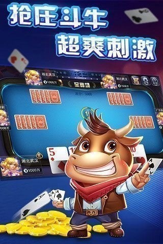 单机斗地主免费版截图2