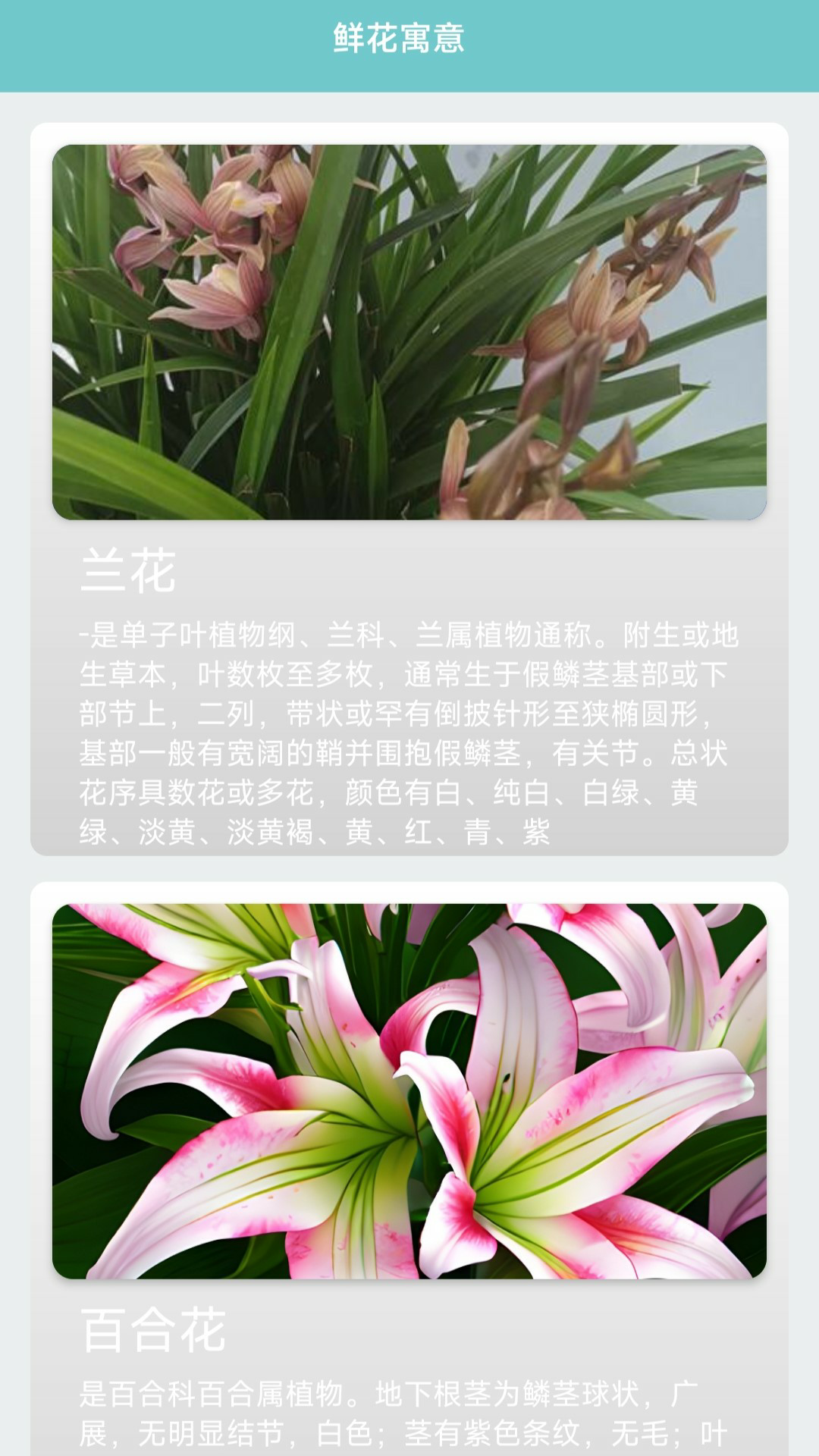星辰卡五星截图292
