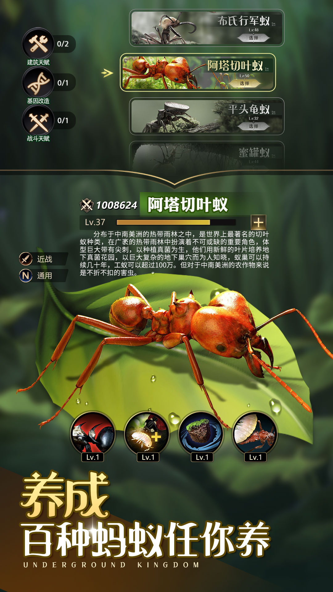 航海王:壮志雄心截图166