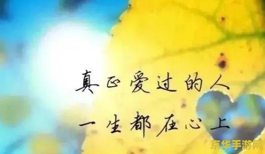 原神地灵龛位置无妄坡 探索原神中的无妄坡地灵龛