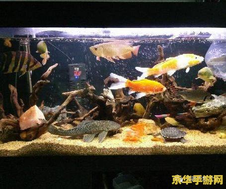 500个身份证有效18岁