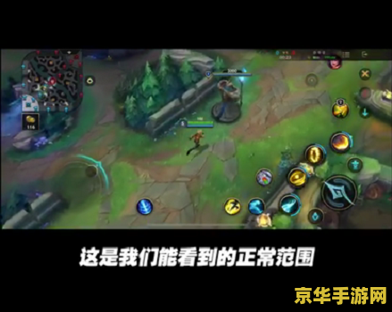 lol无限视距补丁 【英雄联盟（LOL）无限视距补丁】