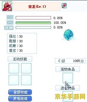 彩虹岛灵宠怎么升级 彩虹岛灵宠升级攻略