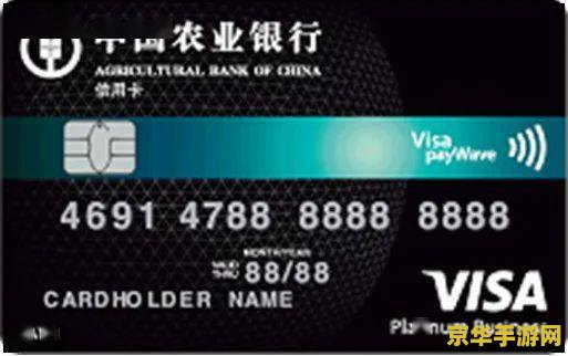 Visa卡号：游戏支付的重要一环