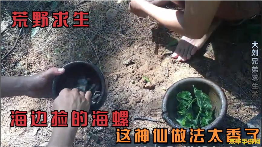 原神在哪里捡海螺