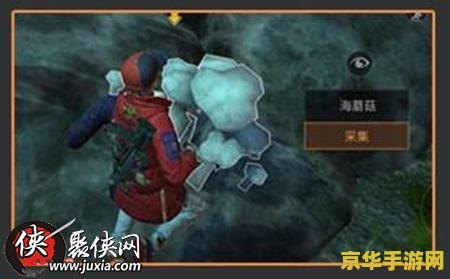 原神柽木采集点
