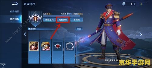 【王者荣耀贵族4要多少钱】