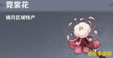 原神霓裳花种子