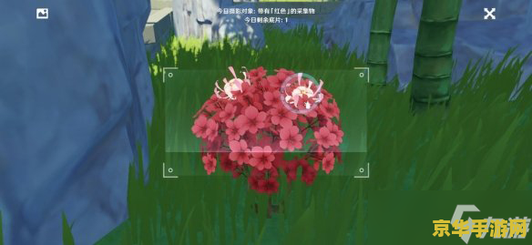 原神霓裳花种子