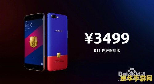 oppor11王者荣耀多少钱