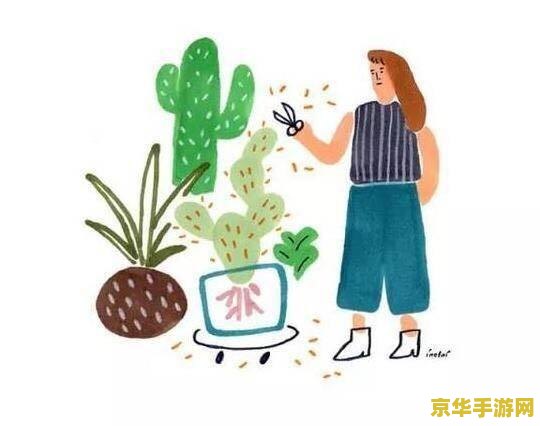 冬至打一正确生肖