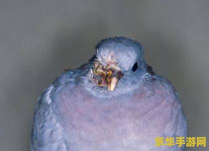 灌篮高手重置版 灌篮高手：重燃热血