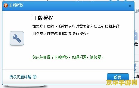 iPad闪退问题分析与解决方案
