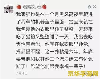 英雄联盟半价皮肤在哪 英雄联盟半价皮肤在哪：探索游戏内购买皮肤的省钱秘籍