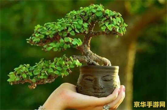 金枝玉叶是指什么生肖? 金枝玉叶是指什么生肖？