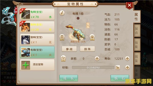 魔兽世界盗贼幻化：探索华丽外观与个性风格的完美结合
