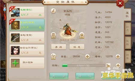 问道水系加点 - 策略与技巧的完美结合
