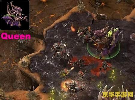 原神全是鬼兜虫的山洞