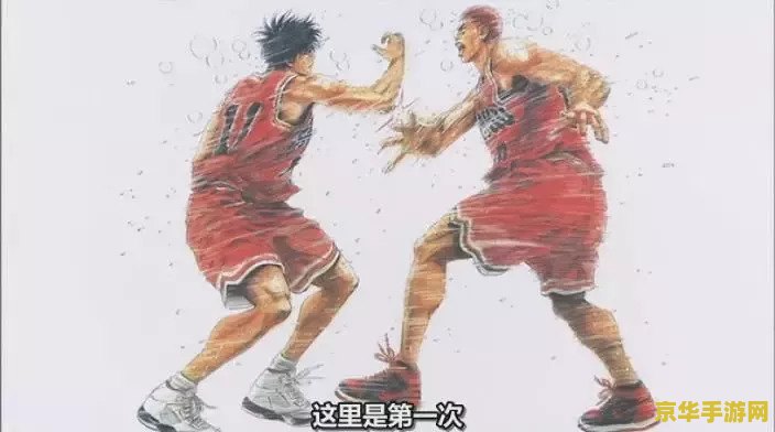 新灌篮高手：青春的热血与篮球的魅力