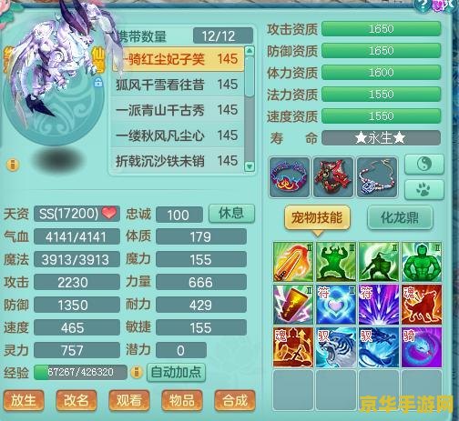 王者荣耀里面赵云应该带什么 王者荣耀：赵云如何选择最佳的装备与铭文**