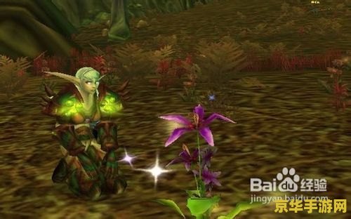 魔兽世界草药学：游戏中的草药学与玩家体验