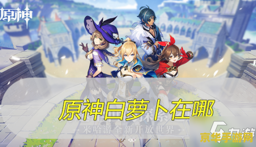 原神天目影打刀怎么样 **原神天目影打刀：一柄蕴含深意的神秘之刃**