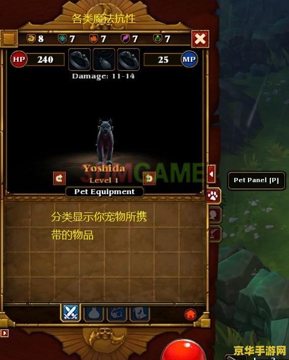 火炬之光2技能重置：游戏攻略与技巧