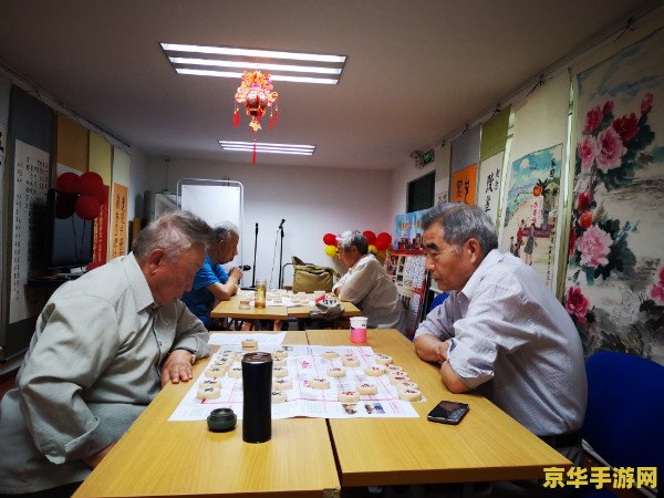 宠物小精灵bw146 宠物小精灵BW146：挑战神秘的幻影岛