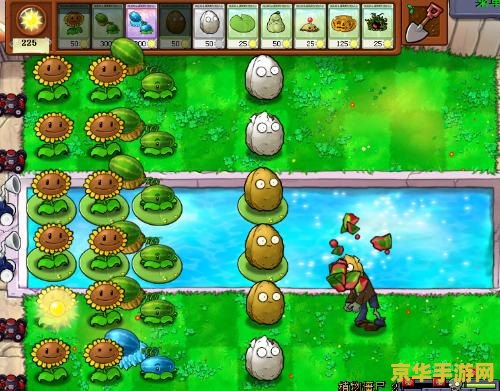 中文版植物大战僵尸2010年度版