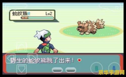 口袋妖怪奇幻旅程修改器