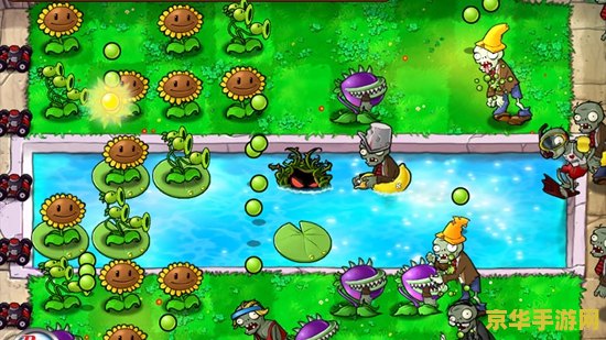 中文版植物大战僵尸2010年度版