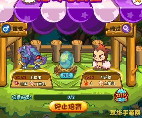 洛克王国幸运符文怎么得