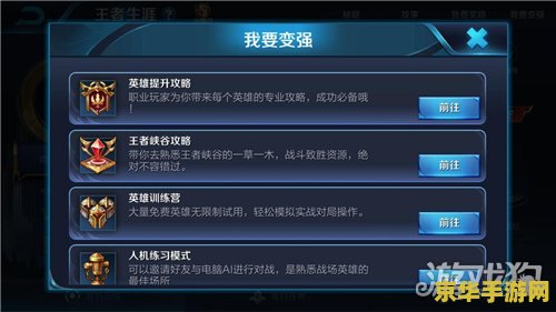 王者荣耀多少内存才够 - 深入解析游戏内存需求