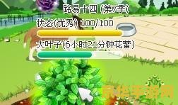 qq农场 路易十四
