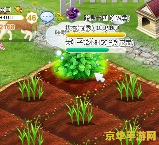 原神如星宝珠解密 原神如星宝珠解密