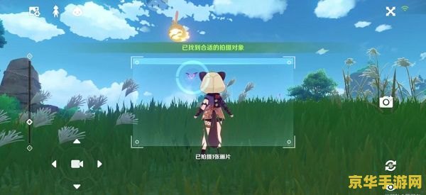原神稻妻特色动物分布