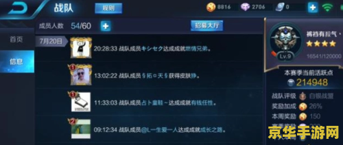 王者荣耀战队等级最高多少级
