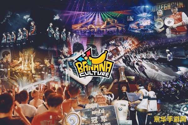 lol英雄联盟wcg 英雄联盟WCG：电竞巅峰之战，荣誉与梦想的舞台